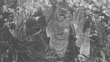 Quinta fotografía de las hadas de Cottingley, la que las primas aseguraron siempre que era verdadera.