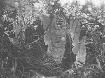 Quinta fotografía de las hadas de Cottingley, la que las primas aseguraron siempre que era verdadera.