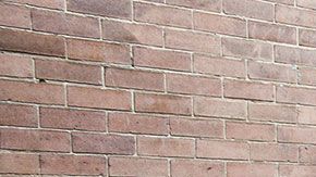 La basura de unos es el tesoro de otros.