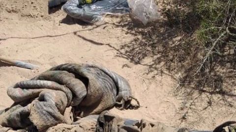 Reportan en Chihuahua narcofosas y ejecutados en plena Semana Santa