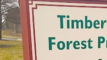 Reserva Forestal en DuPage, Illinois.