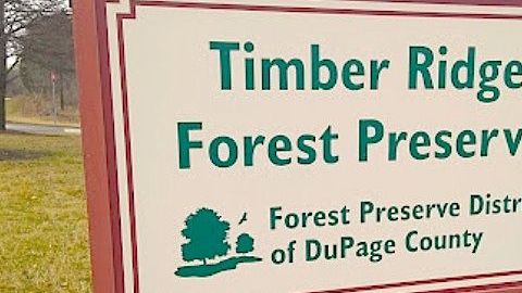 Reserva Forestal en DuPage, Illinois.