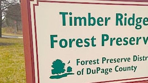 El supuesto ataque a la víctima ocurrió el martes alrededor de las 5 pm en la Reserva Forestal Timber Ridge, ubicada en County Farm Road, al norte de Geneva Road