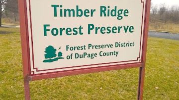 El supuesto ataque a la víctima ocurrió el martes alrededor de las 5 pm en la Reserva Forestal Timber Ridge, ubicada en County Farm Road, al norte de Geneva Road