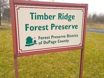 El supuesto ataque a la víctima ocurrió el martes alrededor de las 5 pm en la Reserva Forestal Timber Ridge, ubicada en County Farm Road, al norte de Geneva Road