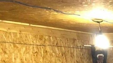 Su dueño no quería que nadie lo tocara