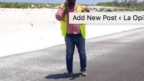 Tortuga verde deja sus huevos en una pista de aterrizaje.