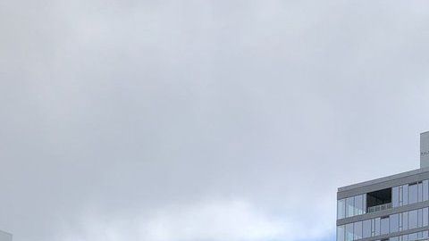 En el accidente ocurrido en Seattle murieron 4 personas.