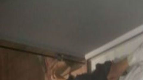 Sergio Hernndez Vega Enrique Pena Nieto