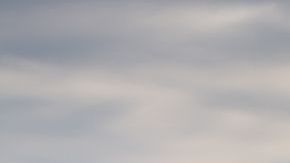 shutterstock_1038705769