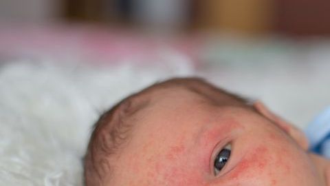 shutterstock_1079183342