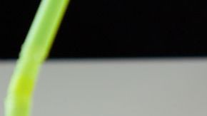 Muchas enfermedades e incluso la muerte puede desencadenar este challenge.