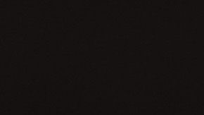 shutterstock_1155431296