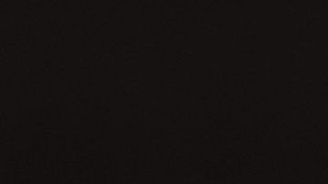 shutterstock_1155431296