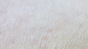 shutterstock_1201894471