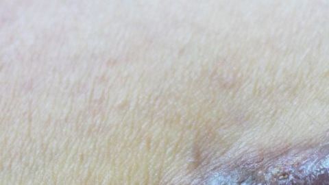 shutterstock_1201894471