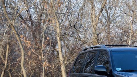 shutterstock_1282497016