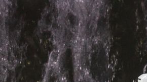 shutterstock_1294574893