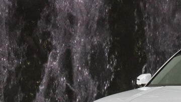 shutterstock_1294574893