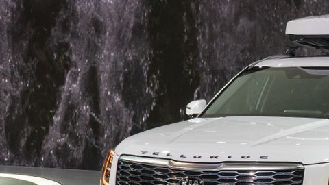 shutterstock_1294574893