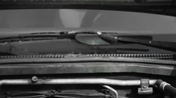 shutterstock_1317292769