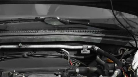 shutterstock_1317292769