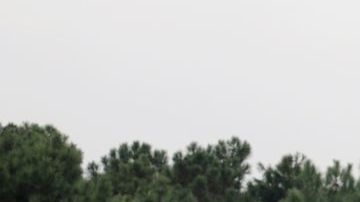 Clase A Compacto Mercedes Benz