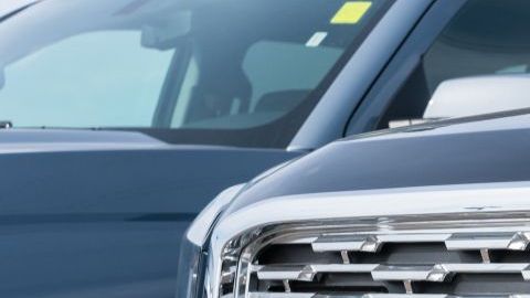 shutterstock_1351452665