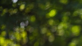 shutterstock_151647728