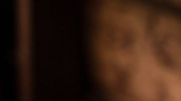 shutterstock_296558672