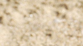 Los amigos dejaron a su suerte a este chico bajo la arena.