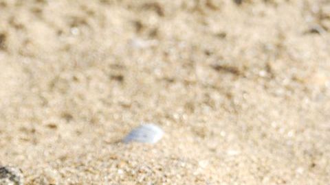 Los amigos dejaron a su suerte a este chico bajo la arena.