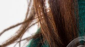 shutterstock_362436071