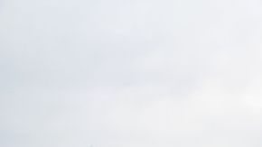 shutterstock_363246026