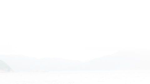 shutterstock_482289469