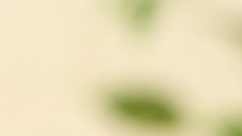 shutterstock_495901096