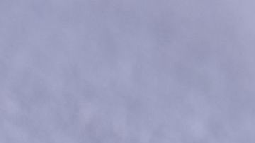 Mucho cuidado con el chinche besucón.