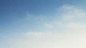 shutterstock_596830691