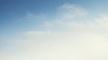 shutterstock_596830691