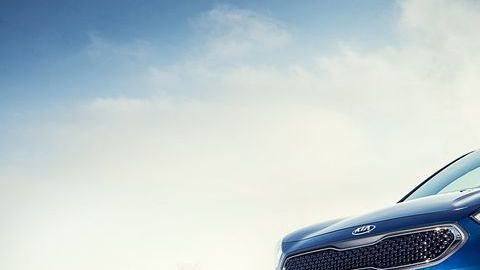 shutterstock_596830691