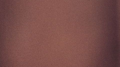 shutterstock_639794776