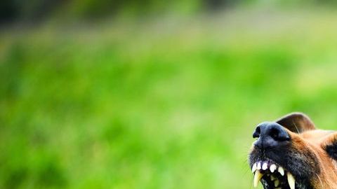 Hay cosas básicas con las que se pueden evitar estos accidentes.