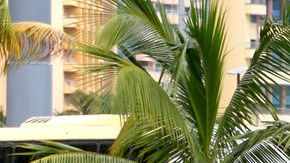 shutterstock_779057119