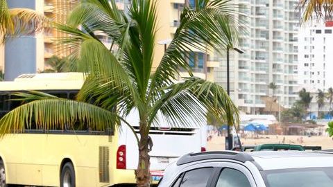 shutterstock_779057119