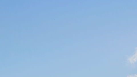 shutterstock_783289630