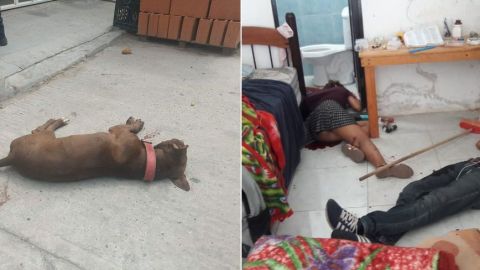 Sicarios matan a pareja y a su perro en Oaxaca, México