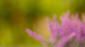 Ahora tendrás que gastar más para tener algunos de los productos que antes obtenías por menos.