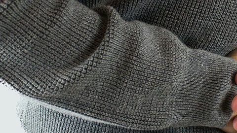 stomach-3532098_1280