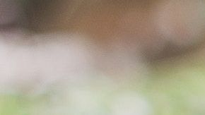 Es importante lavar bien los vegetales.