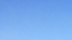 Bosque de Chapultepec.